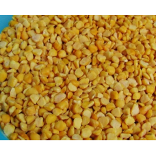 BODRUM BAKLASI- GAMBİLYA